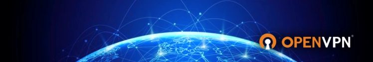 VPN Empresarial OpenVPN