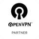 partner openvpn